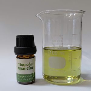 TD ngải cứu