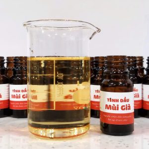 Tinh dầu Mùi già